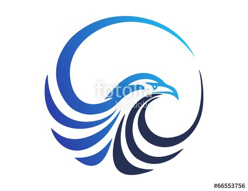 500x385 Hawk Logo,eagle Symbol,bird Icon Media Concept Modern Business
