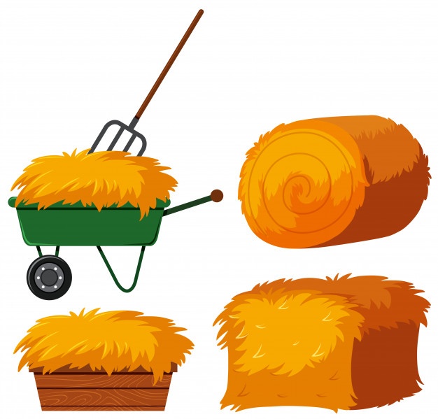 Hay Bale Vector at Vectorified.com | Collection of Hay Bale Vector free ...