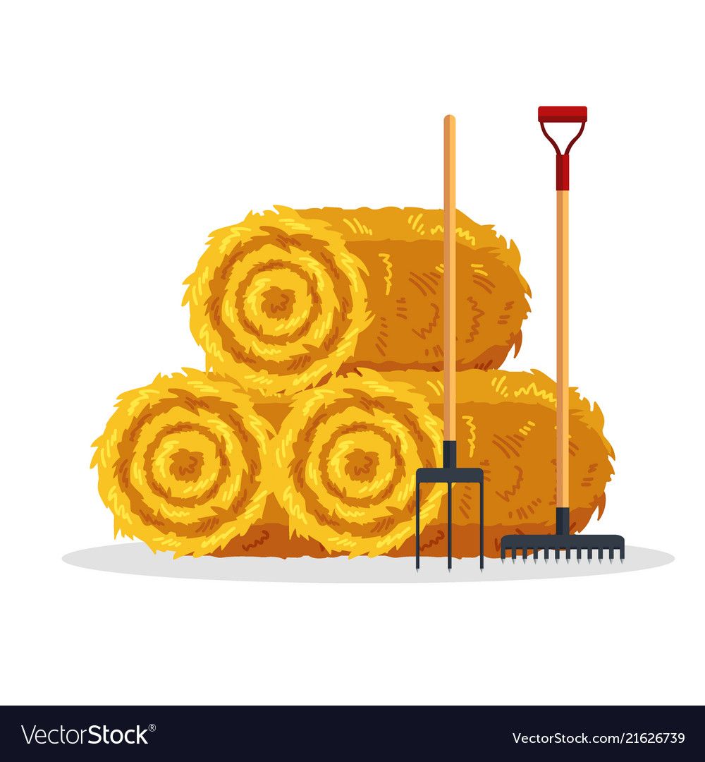 1000x1080 Slike Za I Filmove Hay Bales