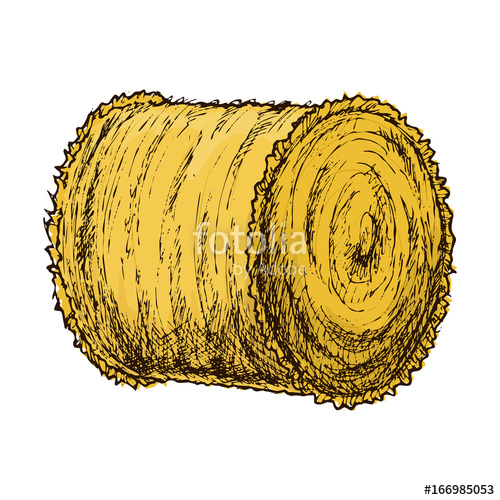Roll Of Hay, Colorful Sketch Illustration Vector Stock Image 500x500 Roll Of Hay, Colorful Sketch Illustration Vector Stock Image
