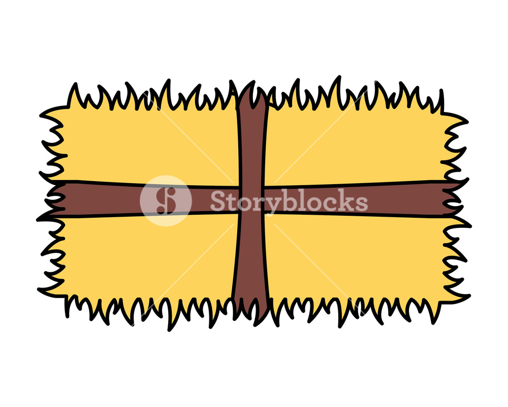Bale Of Hay Farm On White Background Vector Illustration Royalty 1000x800 Bale Of Hay Farm On White Background Vector Illustration Royalty