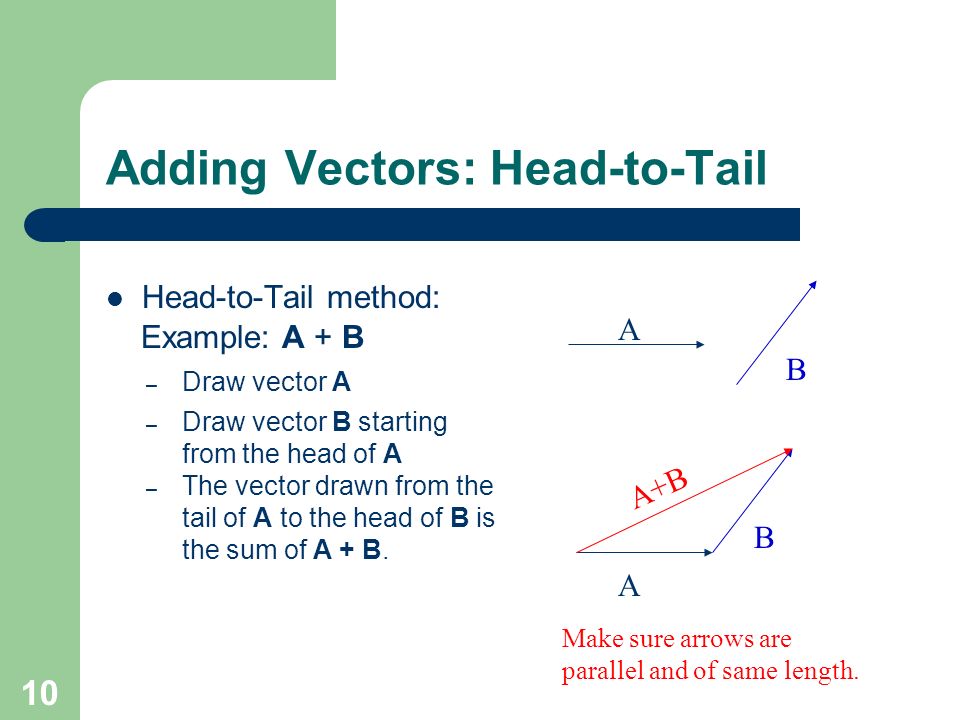 Head And Tail Of Vector at Vectorified.com | Collection of Head And