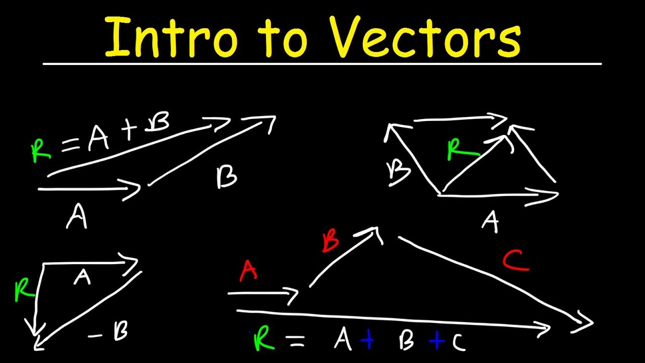 Head And Tail Of Vector At Vectorified.com | Collection Of Head And ...