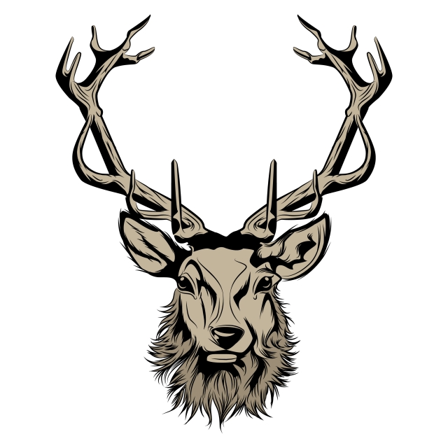 640x640 Head Of Deer Illustration, Stag, Illustration, Animal Png