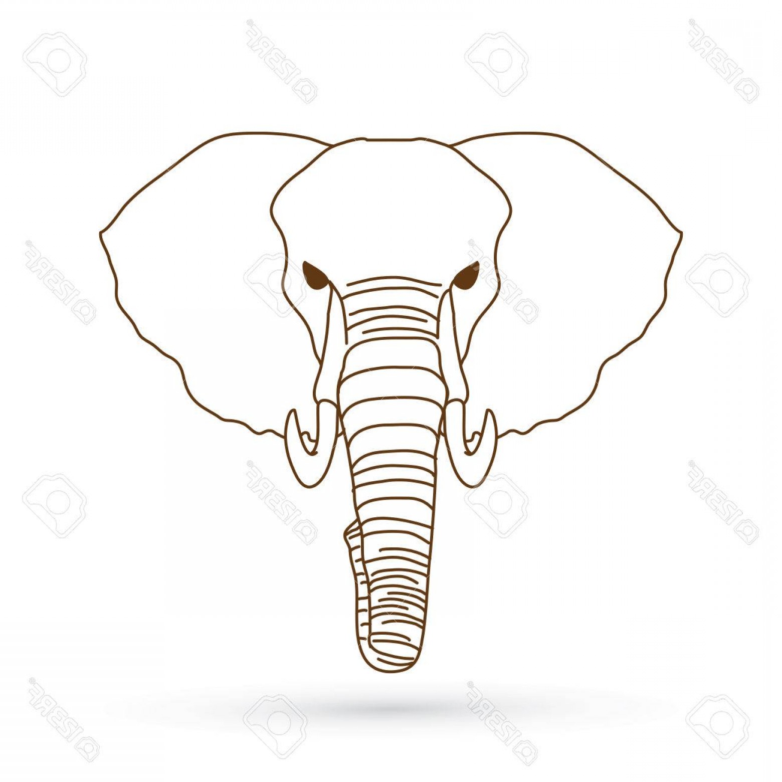 Photostock Vector Elephant Head Front View Outline Graphic Vector 1560x1560 Photostock Vector Elephant Head Front View Outline Graphic Vector