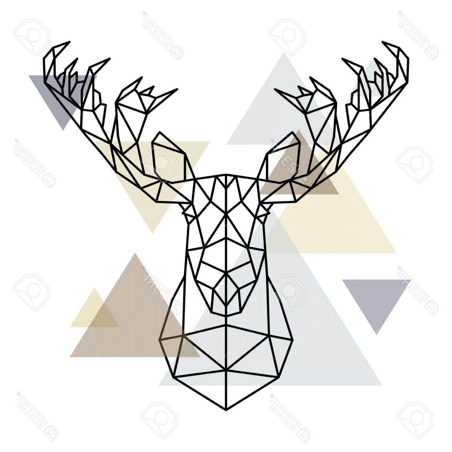 Photostock Vector Moose Head Geometric Lines Silhouette Isolated 1560x1560 Photostock Vector Moose Head Geometric Lines Silhouette Isolated