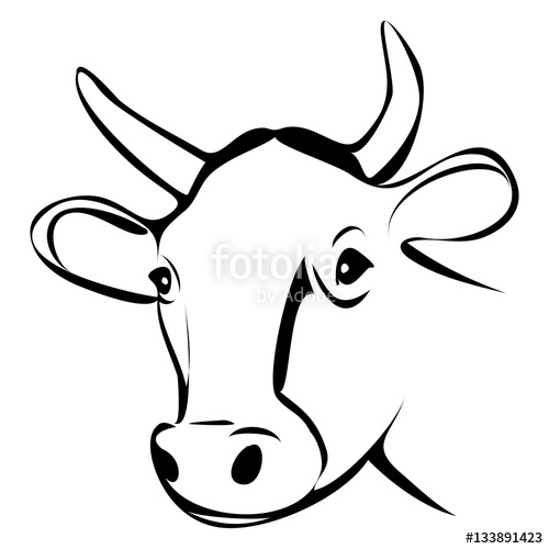 Cow Head Outline Vector Stock Image And Royalty Free Vector 500x500 Cow Head Outline Vector Stock Image And Royalty Free Vector