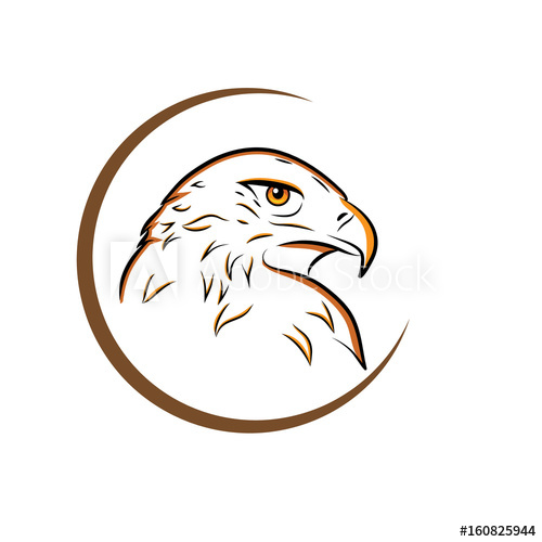 Eagle Head Outline Vector Illustration 500x500 Eagle Head Outline Vector Illustration