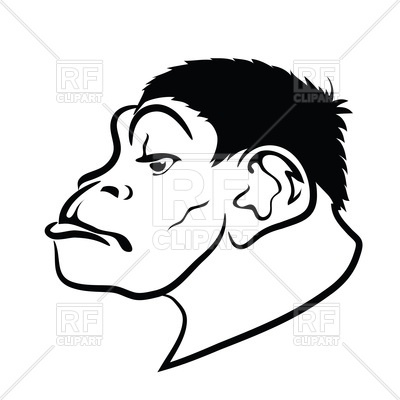 400x400 Head Of Monkey In Profile Vector Image Of Plants And Animals