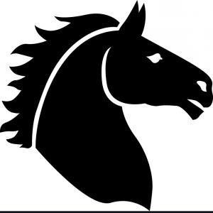 300x300 Horse Head Profile Farm Stallion Wild Isolated Vectors Hoodamathrun