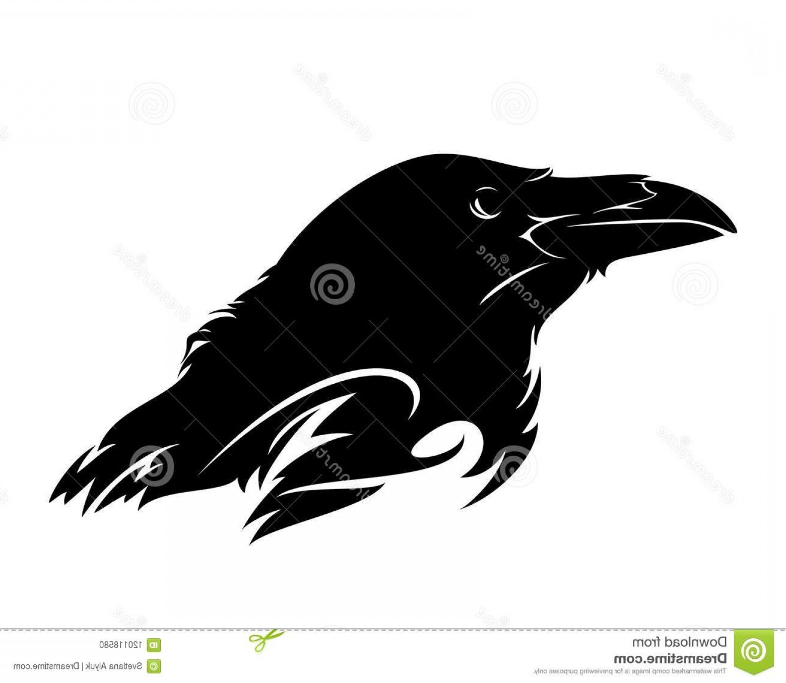 1560x1356 Raven Bird Profile Head Black White Realistic Vector Design Black