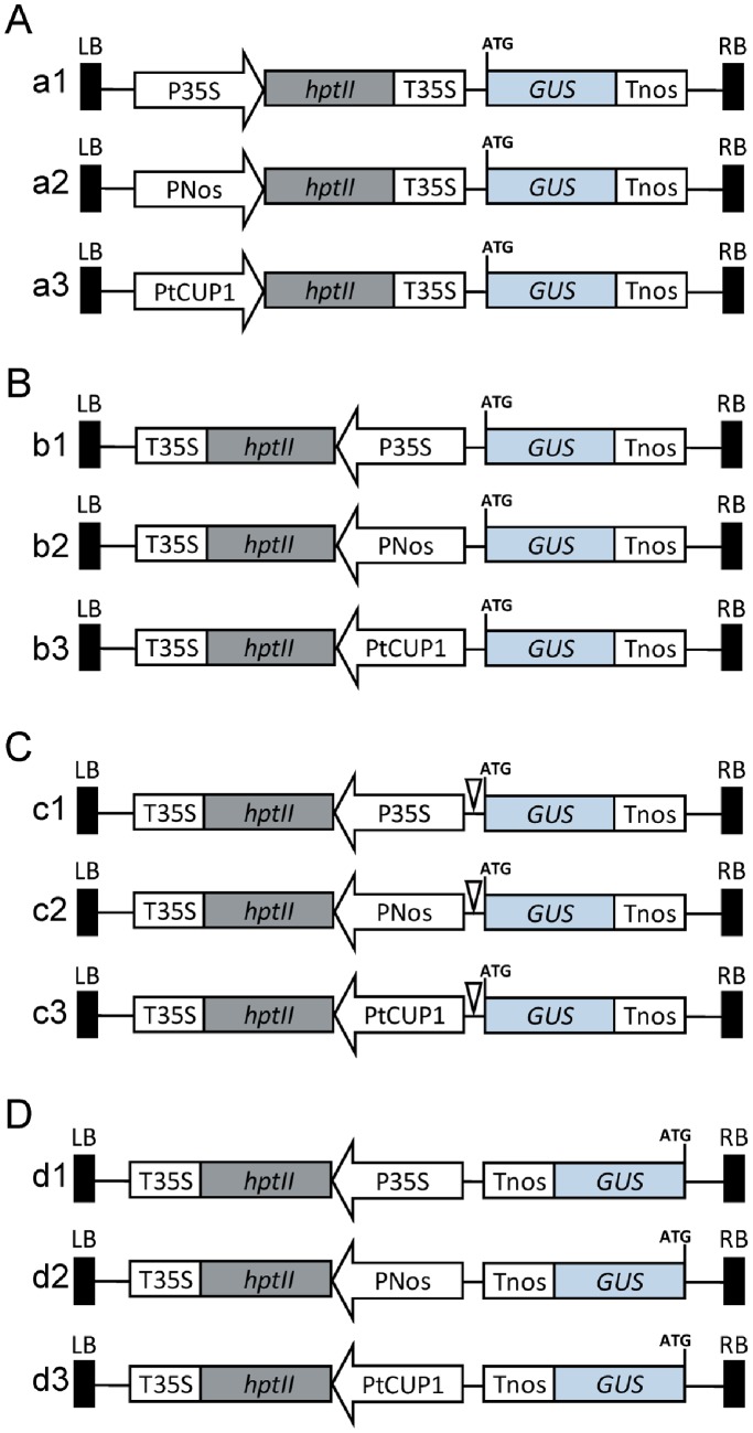 A Group Of Vectors Constructed In Head To Tail Orientation 683x1299 A Group Of Vectors Constructed In Head To Tail Orientation