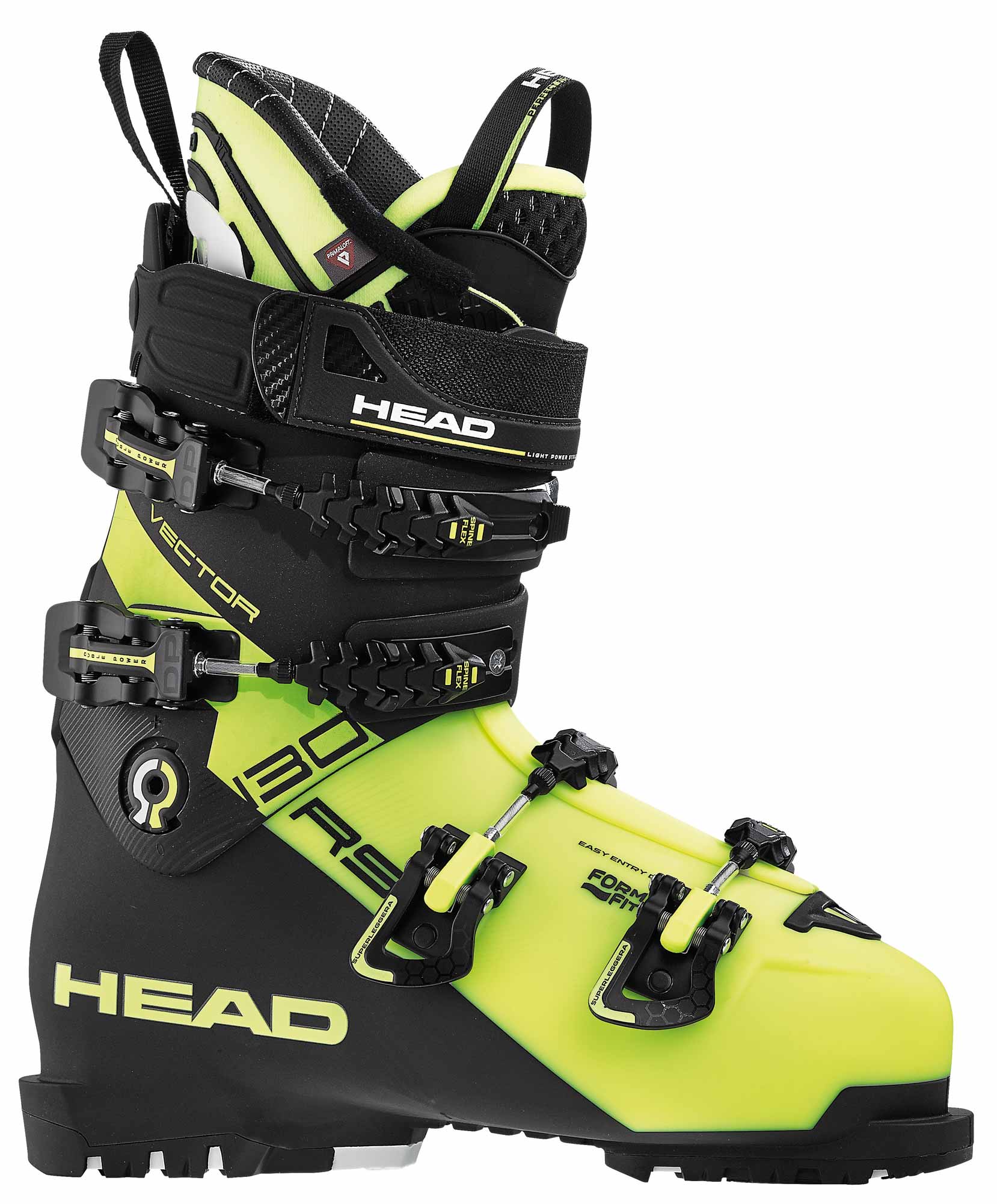 Head Vector Rs S 1658x2000 Head Vector Rs S