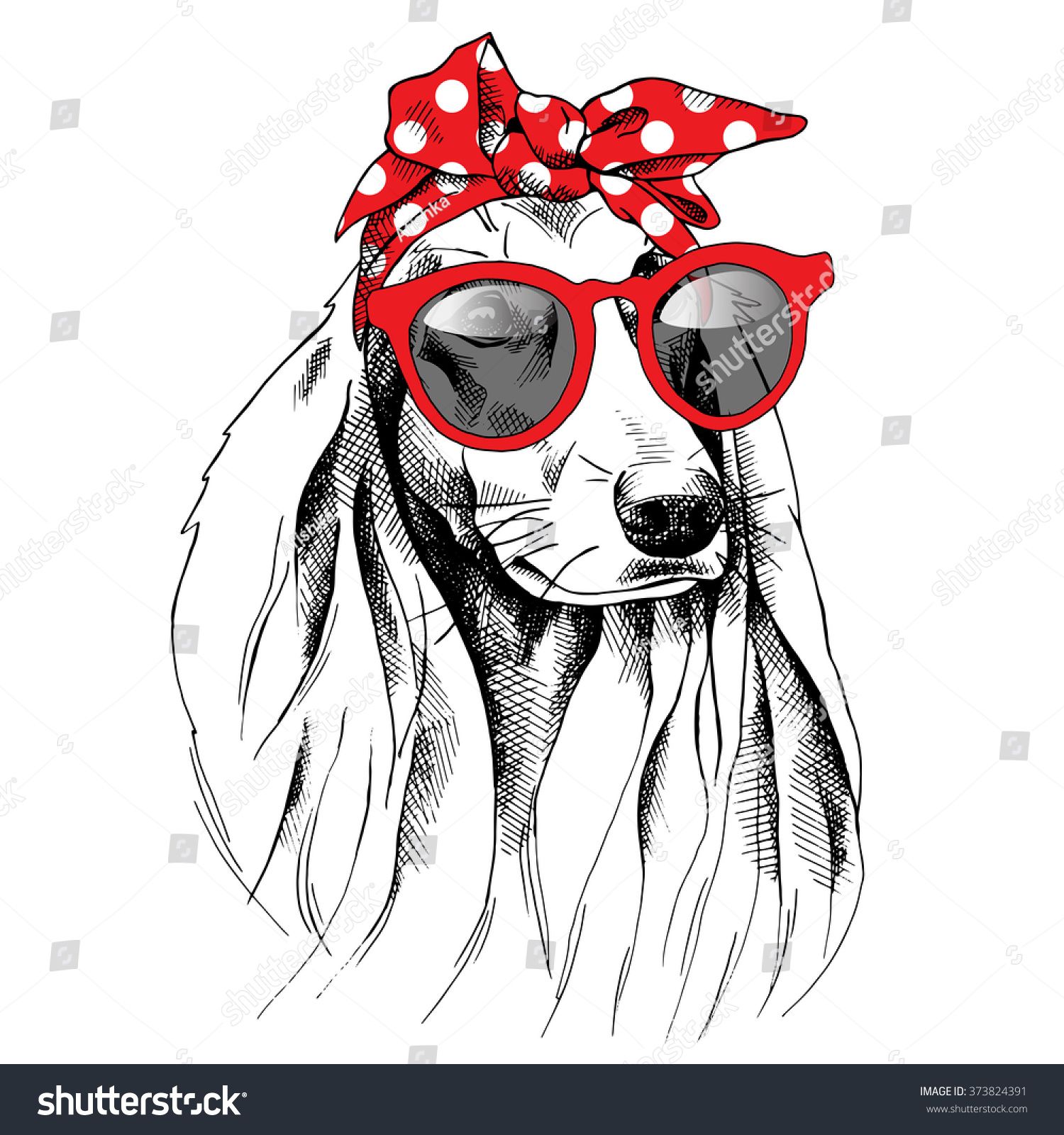 1500x1600 Dog With Long Ears Portrait In A Red Headband And With Sunglasses