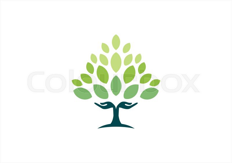 800x563 Tree Hand Natural Logo,wellness Yoga Stock Vector Colourbox