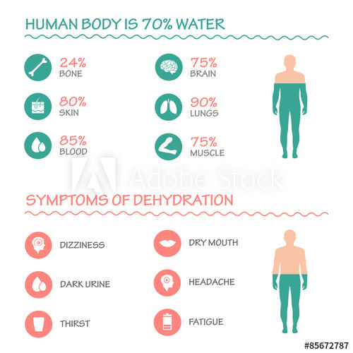 500x500 Body Health Vector Infographic Illustrationdrink, Water Icon
