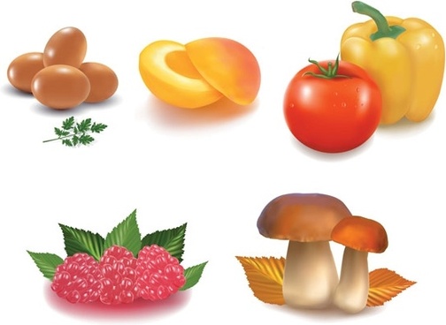 504x368 Healthy Food Vector Art Free Vector Download