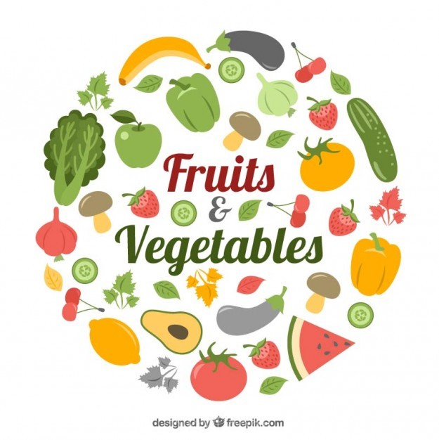 625x626 Collection Of Healthy Food Vector Free Download