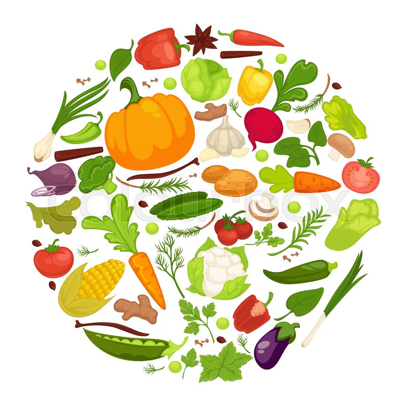 800x800 Vegetables Healthy Food Poster Of Stock Vector Colourbox
