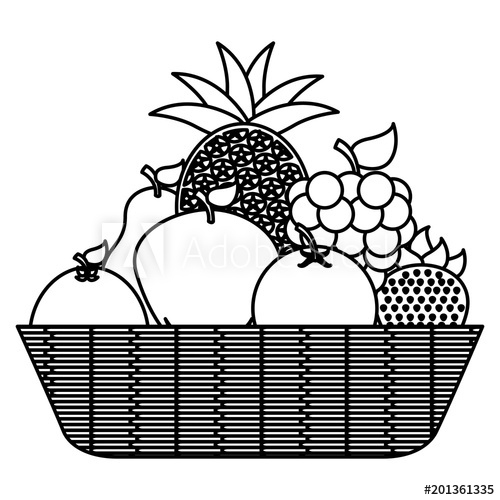 500x500 Wicker Basket Full Fruits Healthy Vector Illustration Outline