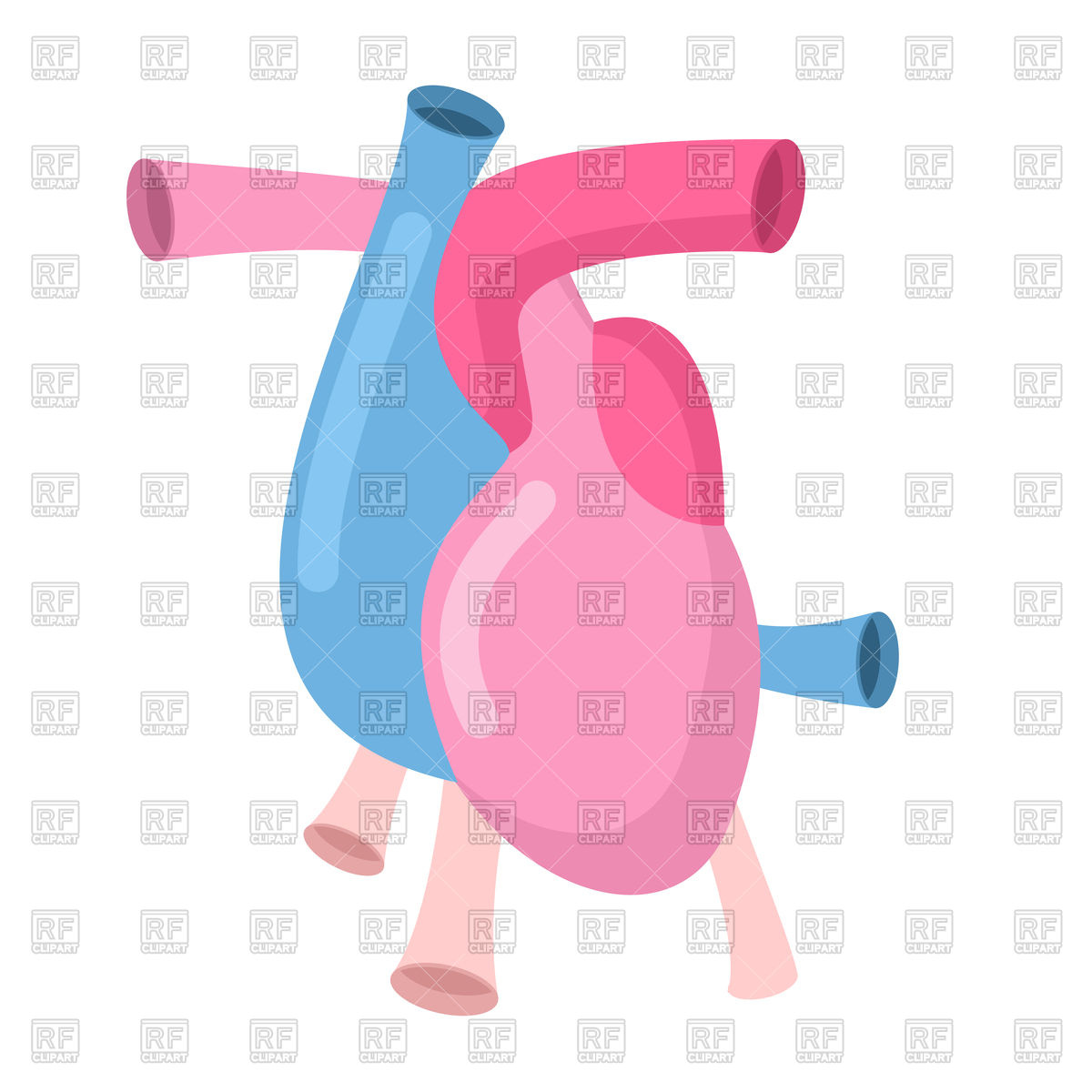 1200x1200 Heart Anatomy Body Vector Image Of Healthcare, Medical