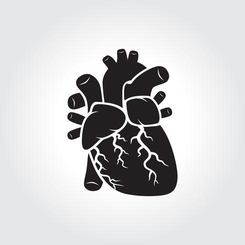 490x490 Heart Anatomy Symbol