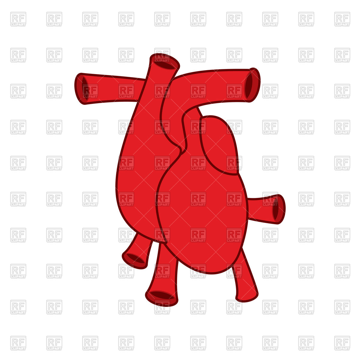 1200x1200 Heart Icon, Atria And Ventricles, Anatomy Vector Image