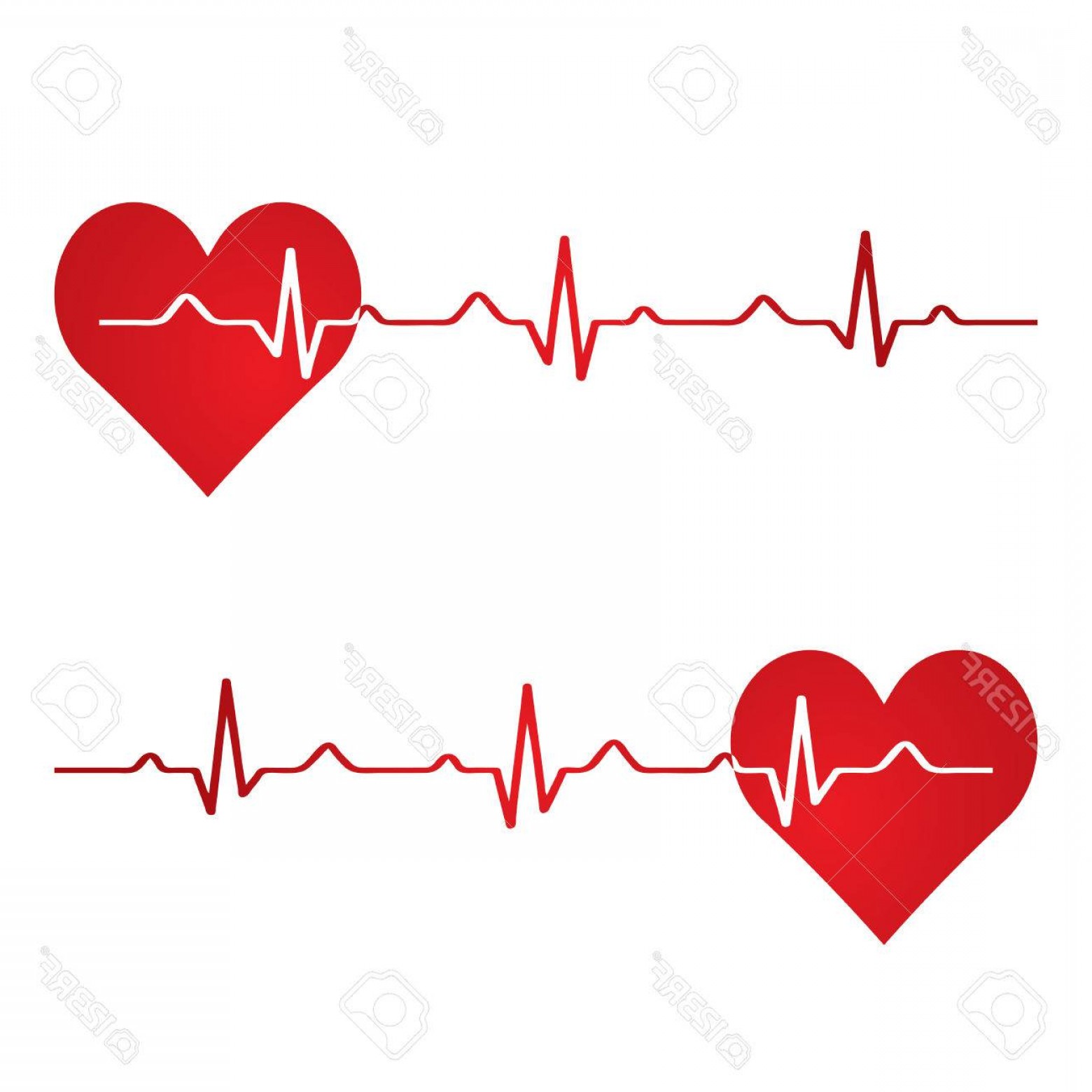1560x1560 Photostock Vector Red Heart With Ekg On White Medical Design