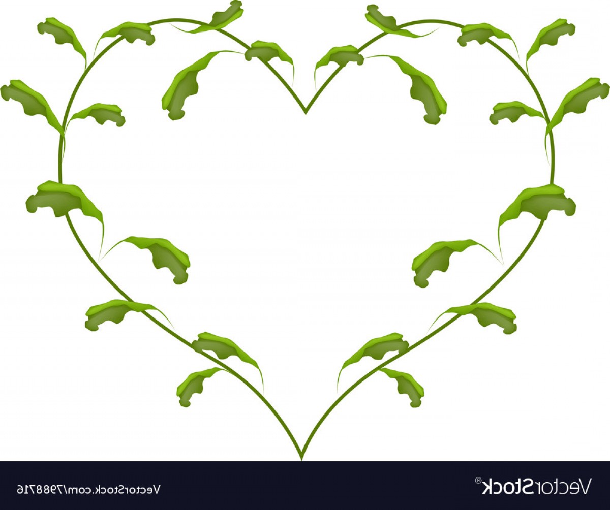 Heart Frame Vector at Vectorified.com | Collection of Heart Frame ...