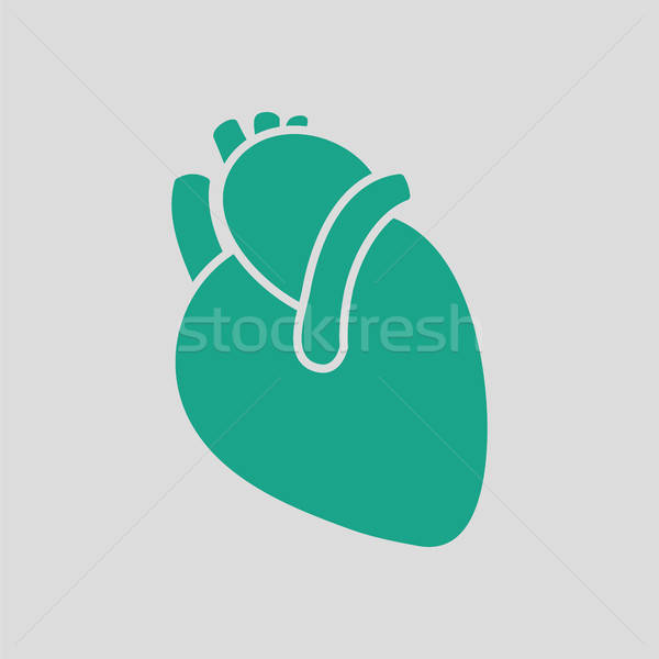 Human Heart Icon Vector Illustration Pavel Konovalov 600x600 Human Heart Icon Vector Illustration Pavel Konovalov