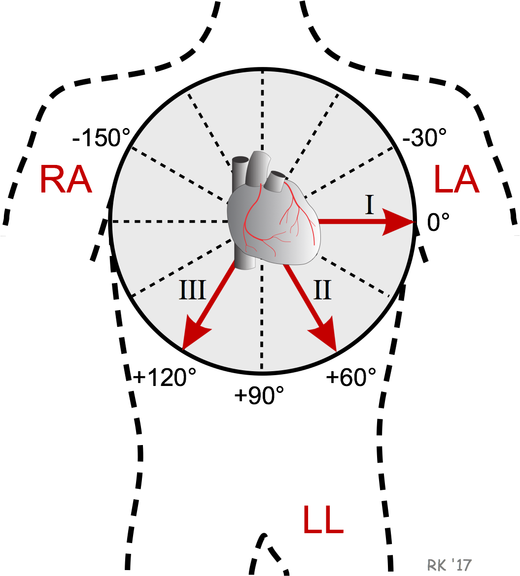 1055x1170 Ecg Vector Heart Monitor Line