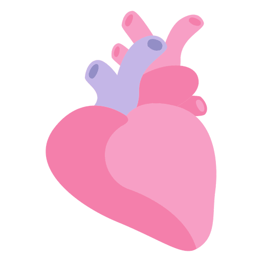 512x512 Heart Human Organ