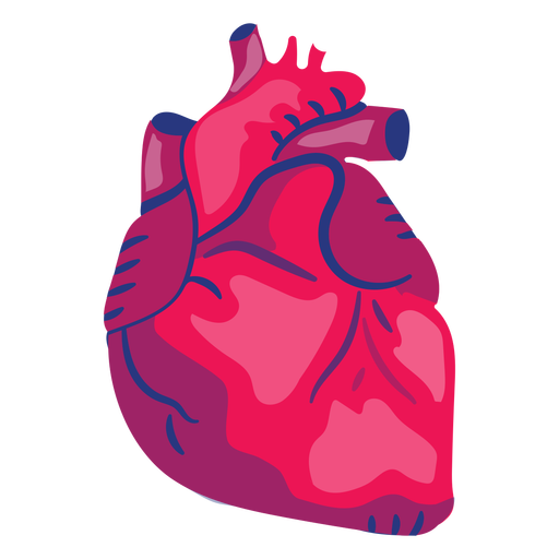 512x512 Heart Organ Flat