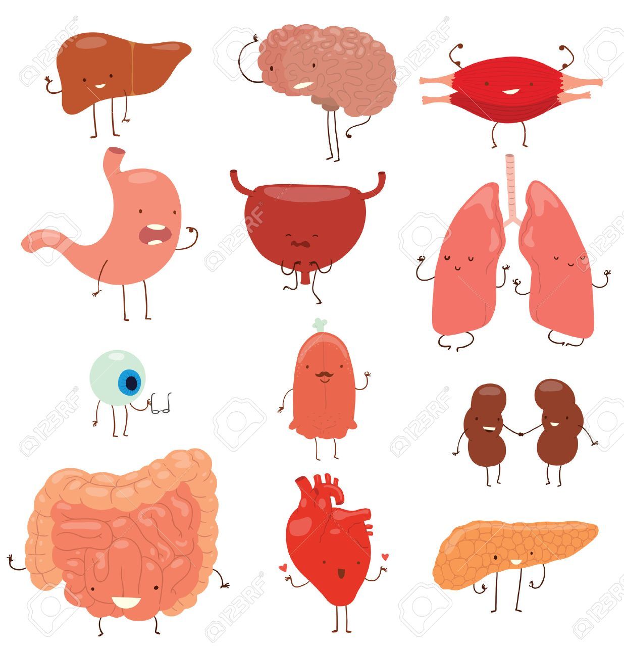 1236x1300 Stock Vector Liver Transplant Merchandise In Human Icon
