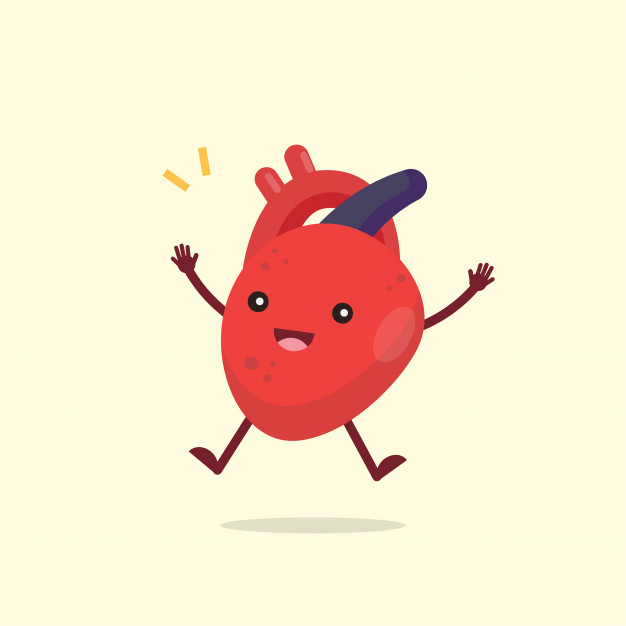 626x626 Happy Cute Heart Organ Character Vector Premium Download