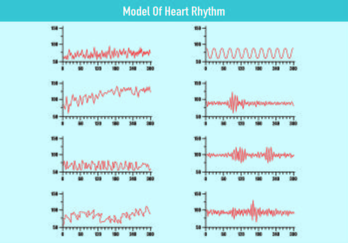 Model Of Heart Rhythm Vectors Stock Images 700x490 Model Of Heart Rhythm Vectors Stock Images