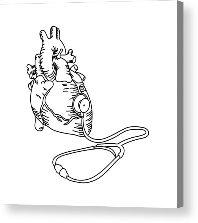 666x750 Human Heart With Stethoscope Vector Illustration Outline Sketch