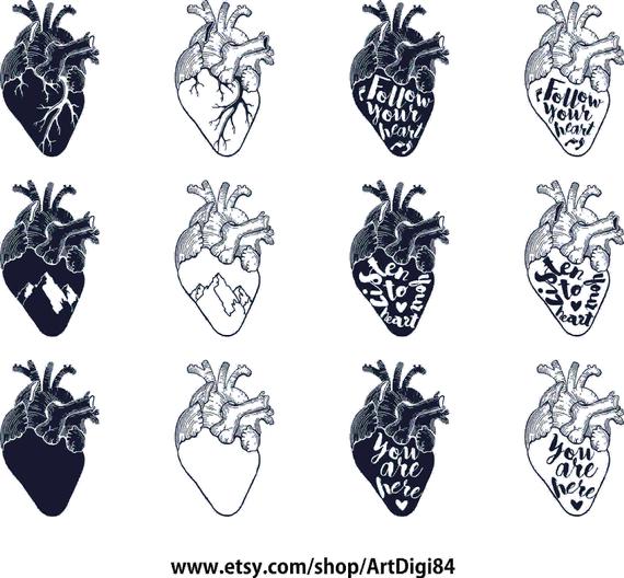 570x528 Heart Vector Setheart Vector Packheart Vector Aiheart Etsy