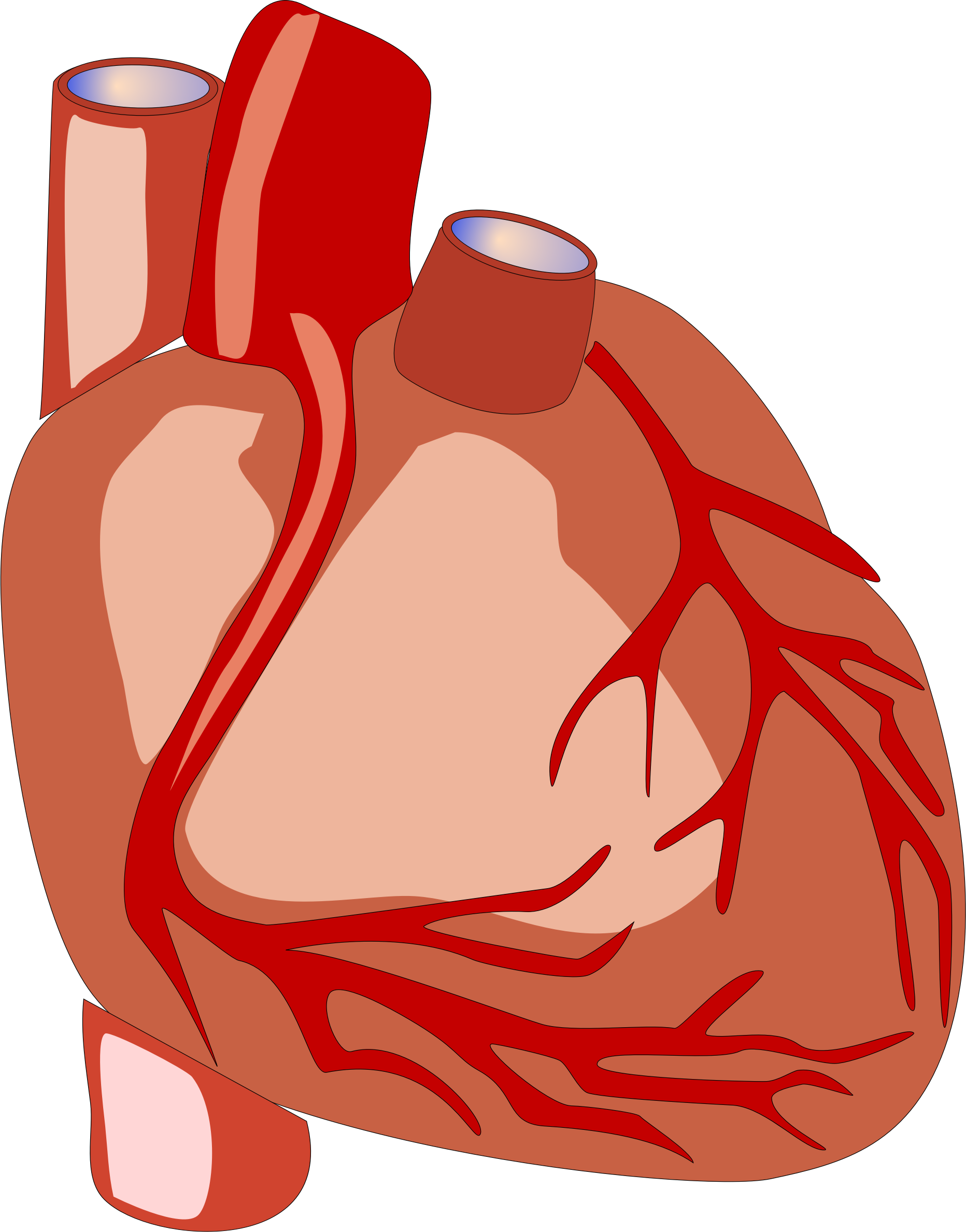 1864x2376 Human Heart Vector Image