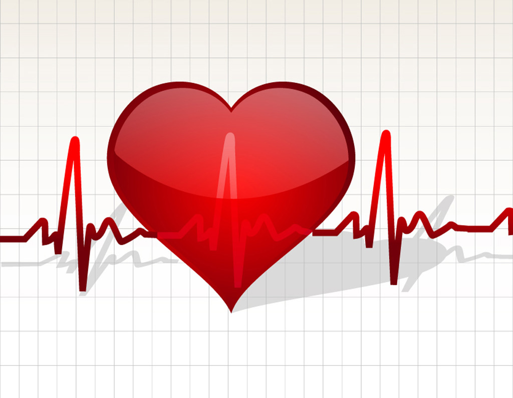 1024x794 Beating Heart Graphics Vector Art Graphics