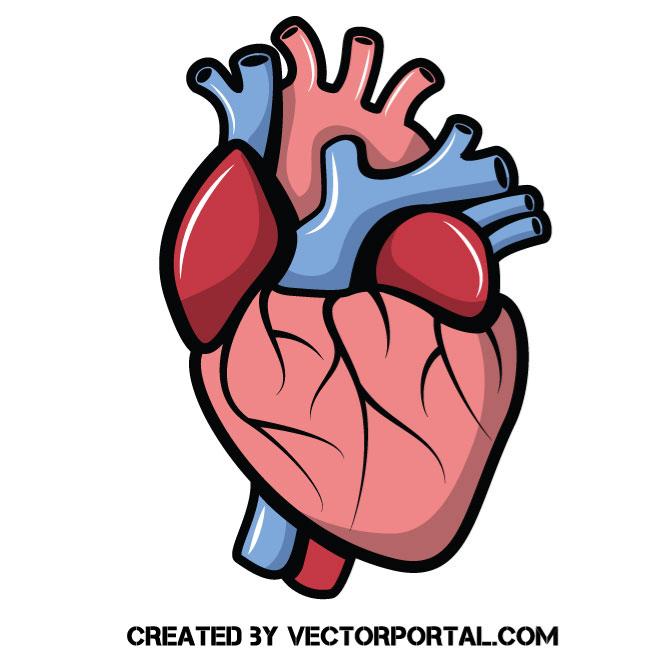 660x660 Heart Vector Clip Art
