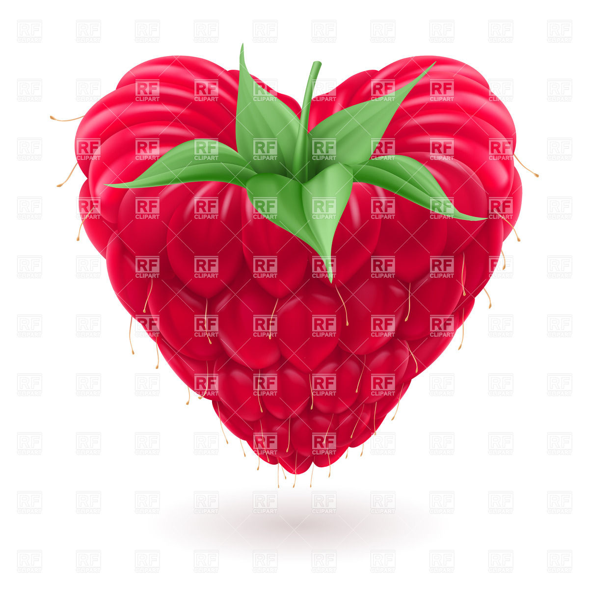 1200x1200 Fresh Raspberry With Green Leaves In The Shape Of Heart Vector