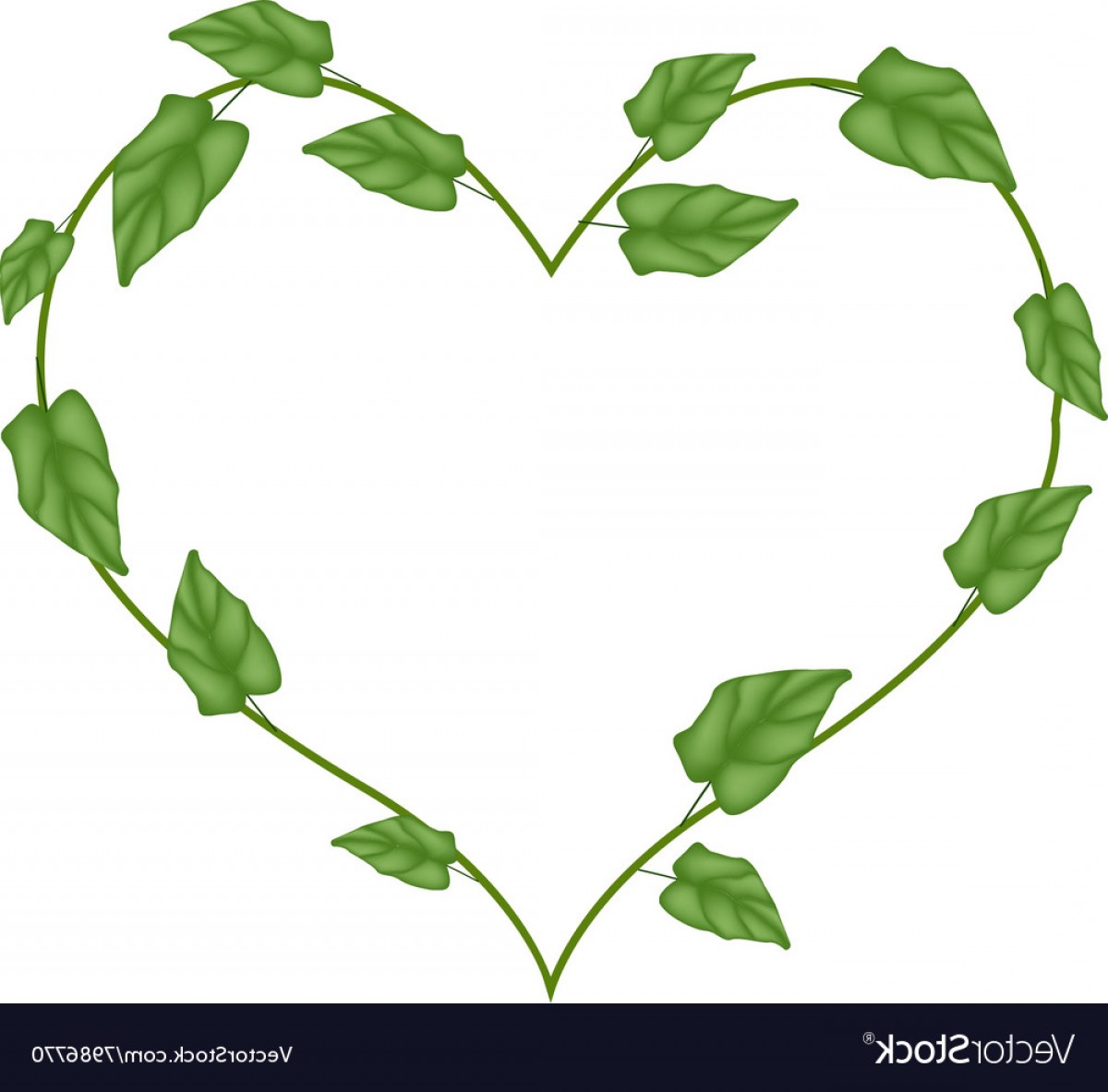 1200x1183 Green Vine Leaves In Beautiful Heart Shape Wreath Vector Studiogrfx