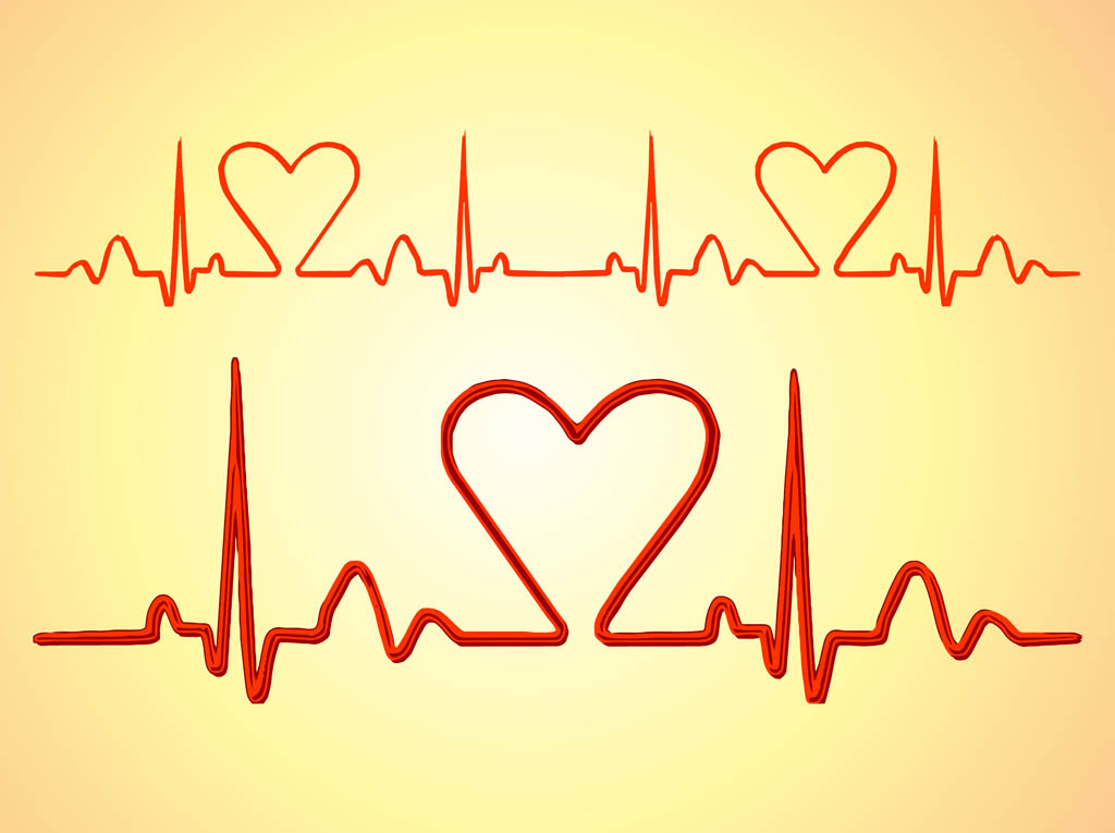1024x765 Heartbeat Lines Vector Art Graphics