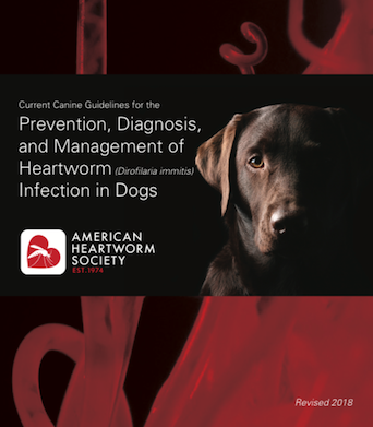 342x391 Ahs Releases New Canine Heartworm Guidelines
