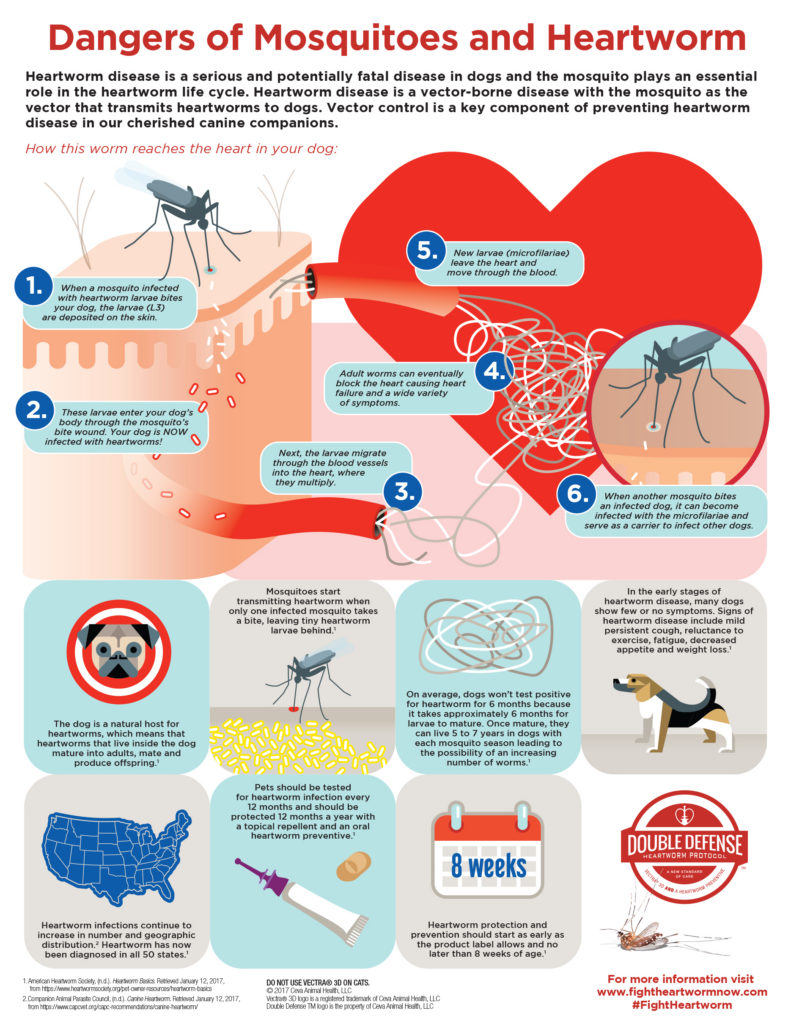 791x1024 Double Protocol Ranks As Top Story