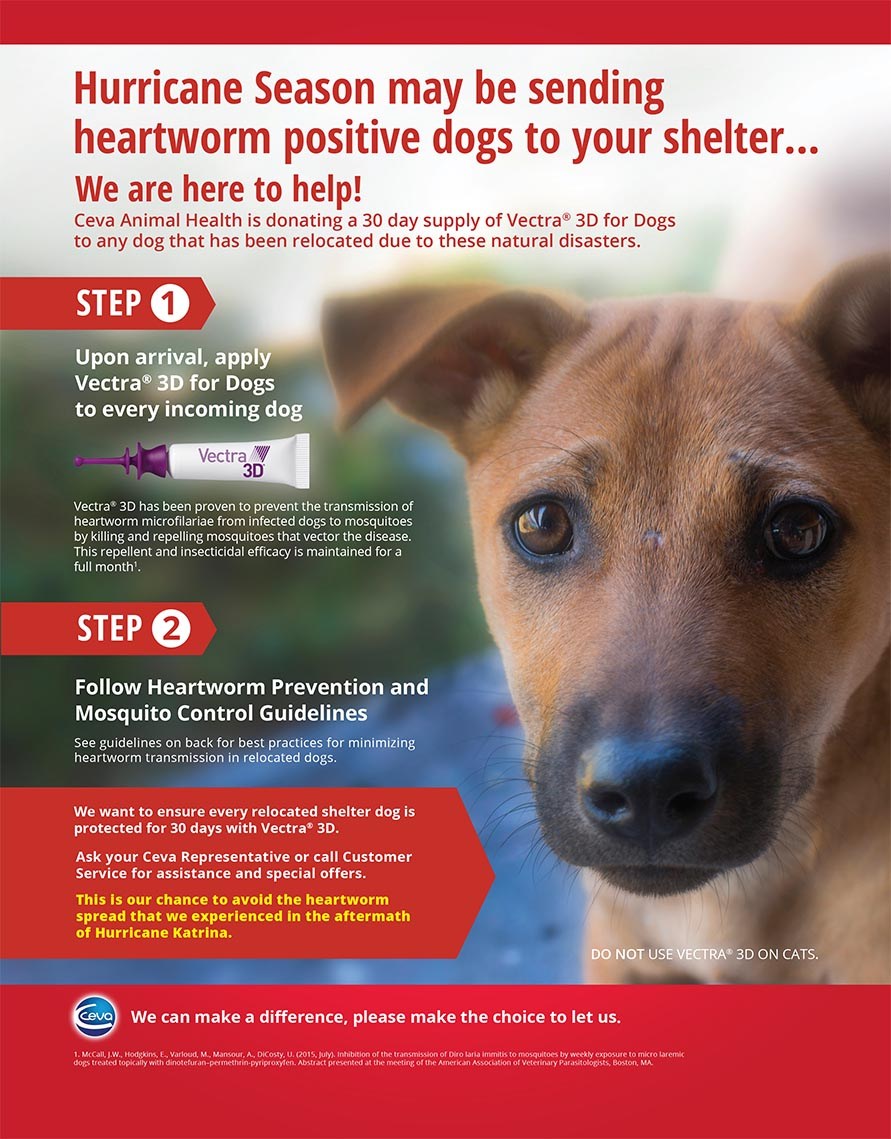 891x1139 Fight Heartworm Now A New Standard Of Care