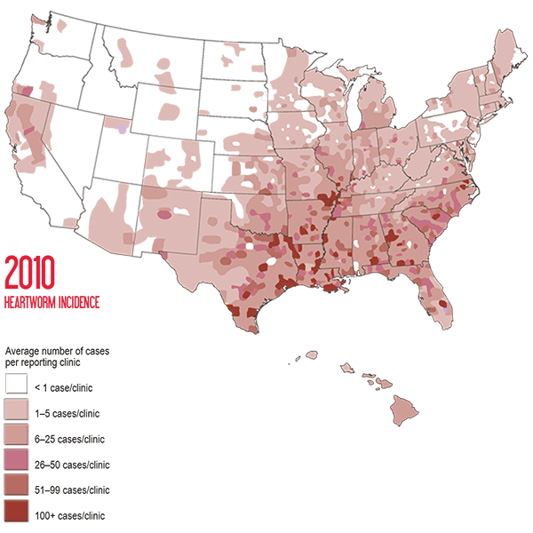 600x600 Fight Heartworm Now A New Standard Of Care
