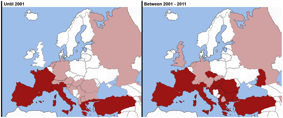 945x397 Frontiers Heartworm Disease