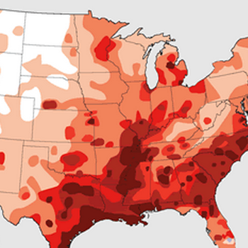 350x350 American Heartworm Society